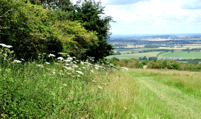 white_horse_hill_view_2018_01_24_11_43_21_am