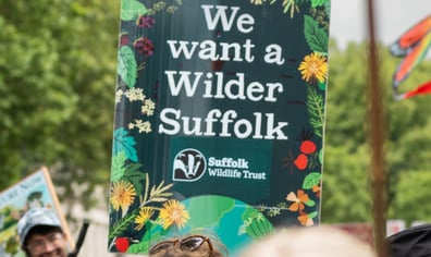 Widler Suffolk