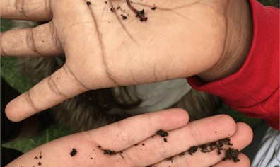 worms_2022_06_06_01_04_59_pm