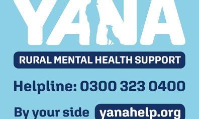 yana_logo_and_phone_number_1__2023_02_09_10_59_22_am