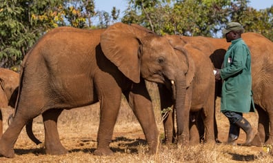 Zongo-before-relocation-scaled