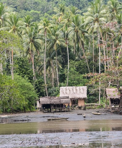 b_cool_earth_yakolima_village_rainforest_1795x967_1600x900_2017_01_26_04_59_19_pm