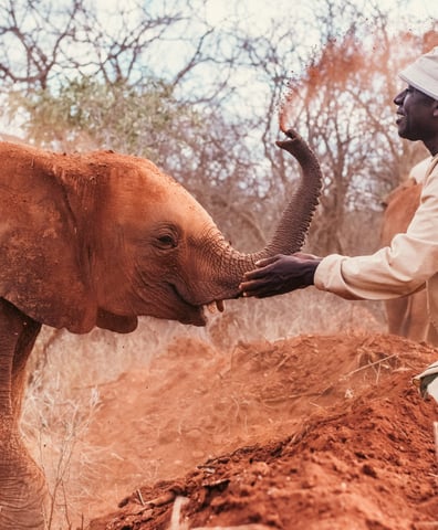 DSWT_Mia Collis_June24-7-jackson and mwinzi