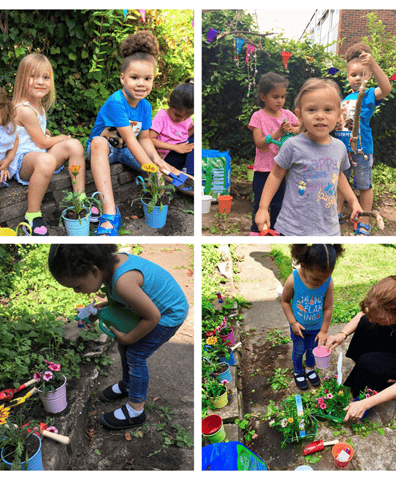 img_1153_collage_2019_08_30_04_38_11_pm