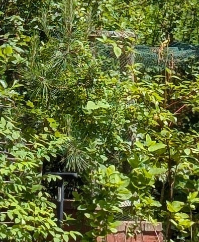 PXL_20260618_103423285~2