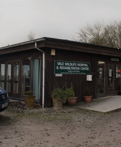 0_vale_wildlife_hospital_frontjpg_2024_03_11_12_03_21_pm