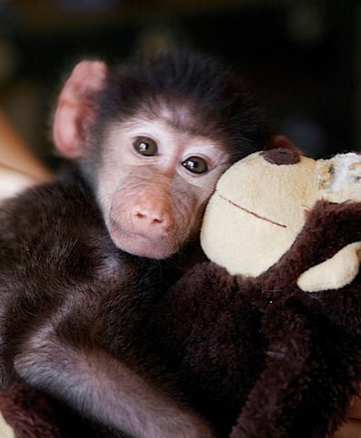 12143197_10153682980164771_8625039442110896539_n_2016_06_20_09_34_14_am