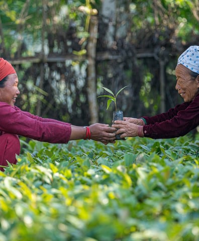20191013_nawalparisi_nepal_0076_2024_02_04_10_04_43_am