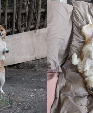 aoife_before_and_after_2022_12_14_01_55_51_pm