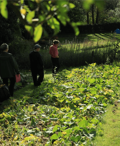 bwt_alan_in_garden_workshop_2018_12_05_04_03_04_pm