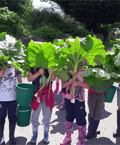child_with_rhubarb_faces_2017_09_25_02_15_45_pm