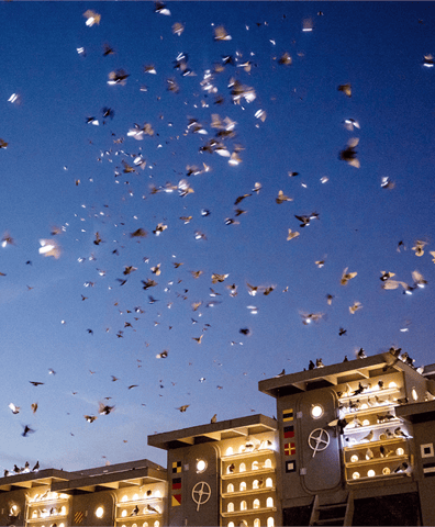 fly_by_night_image_3_credit_tod_seelie_courtesy_creative_time_2000px_2018_04_27_05_33_21_pm