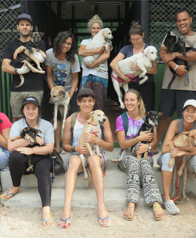 happy_volunteers_1_min_2018_02_15_02_18_05_am