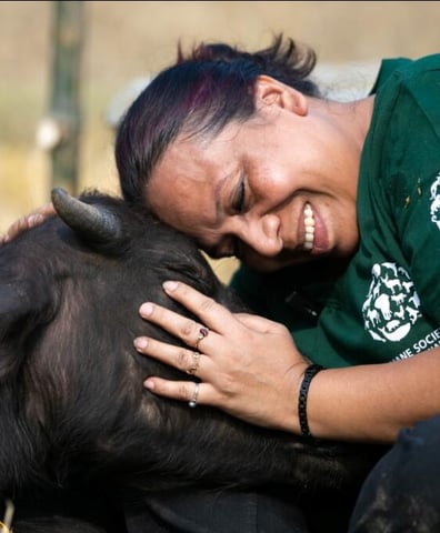 Humane-Society-International