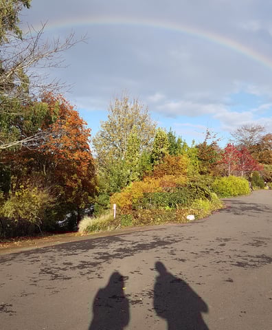 NPS client rainbow picture CROPPED