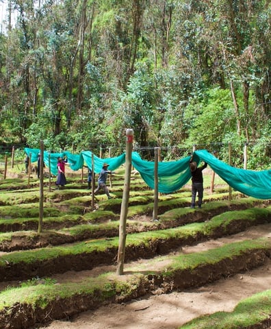 nursery_construction_completed_in_atancama_community_in_abancay_peru_may_2023_cr_2024_02_04_10_05_04_am