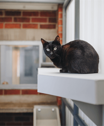 rspca_lookbook_31_of_40__2022_03_21_10_14_44_am