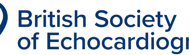 bse_horizontal_all_navy_logo_2020_01_02_01_26_40_pm