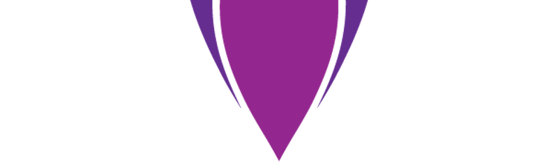 hmdt_large
