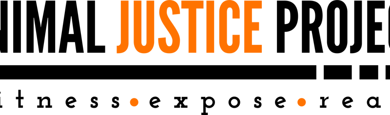 ajp_logotype_2022_1__2023_02_08_02_20_59_pm
