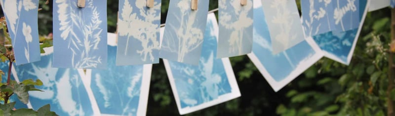 allotment-printing-day-scaled