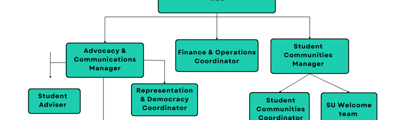 Beige Minimalist Structure Organizational Chart Graph