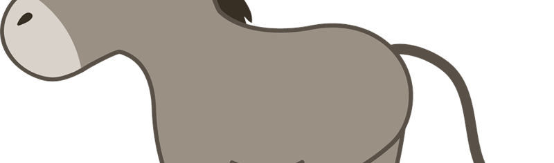 donkey_2017_08_10_12_07_06_pm