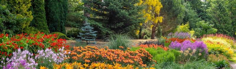 herbaceous_border_2023_02_23_02_03_04_pm