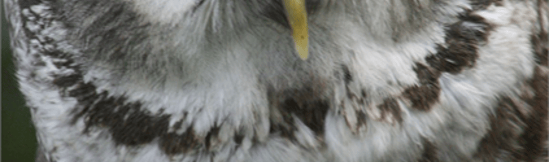 img_8166_2017_11_23_02_36_15_pm