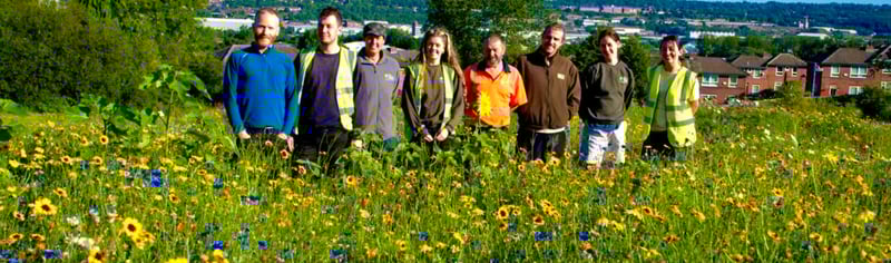 Landscape-Team-1024x684