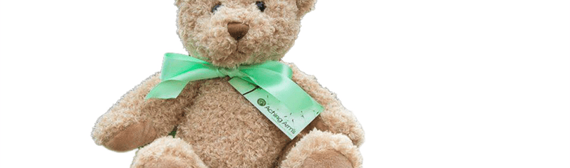 modified_teddy_1_2017_06_07_06_10_50_pm
