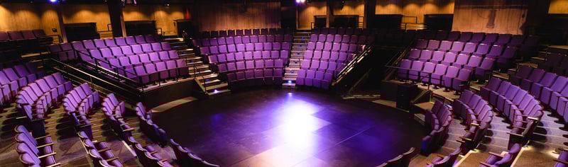 New Vic Auditorium