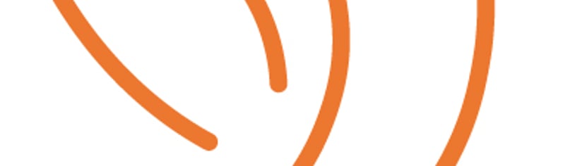 Rebuild Bird Icon