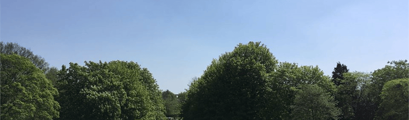 rowheath_busy_2019_11_08_02_11_28_pm