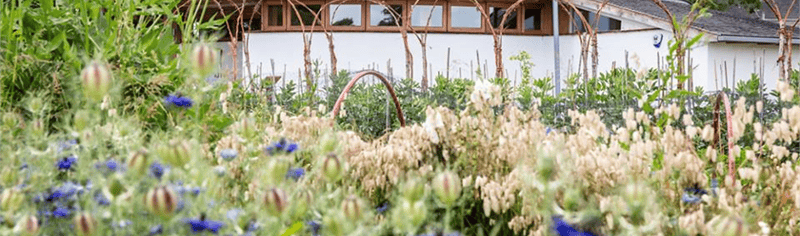 tuppenny_barn_2018_07_19_12_13_54_pm