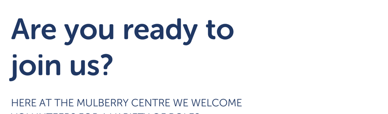 Volunteer Banner (003)