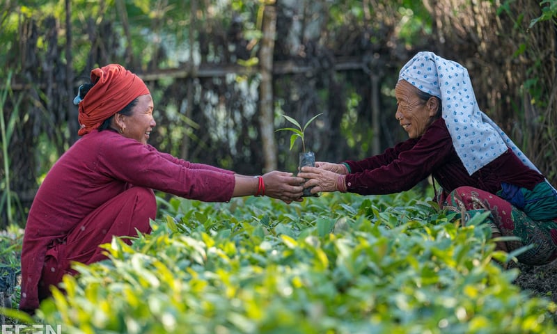 20191013_nawalparisi_nepal_0076_2024_02_04_10_04_43_am