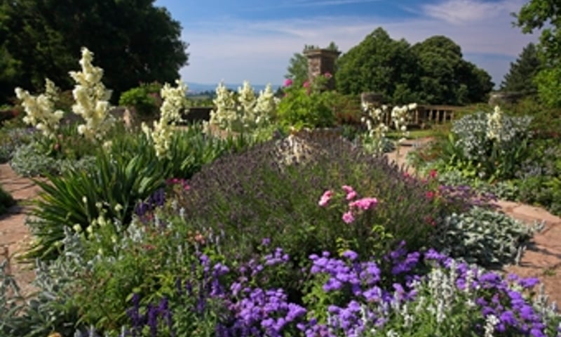 dutch_garden_taken_by_somerset_life_photographer