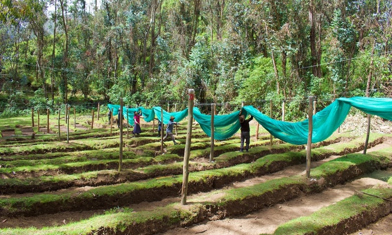 nursery_construction_completed_in_atancama_community_in_abancay_peru_may_2023_cr_2024_02_04_10_05_04_am