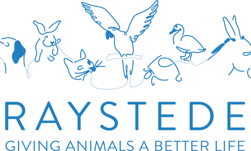 raystede_logo_blue_2019_08_27_02_40_23_pm
