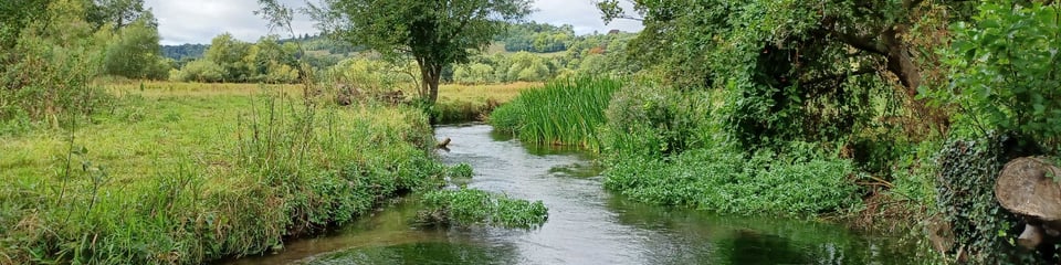 South East Rivers Trust banner