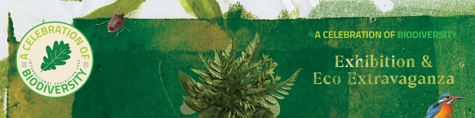 Insecta Collective CIC banner