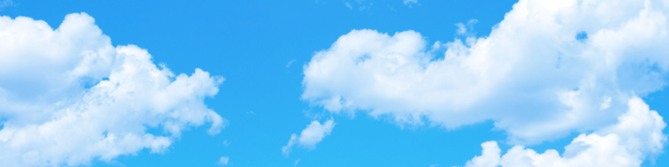 Bluesci Support CIC banner