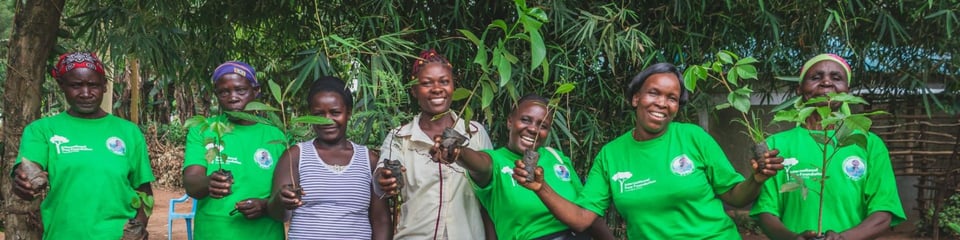 International Tree Foundation banner