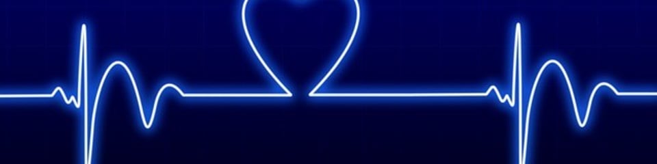 British Cardiovascular Society banner