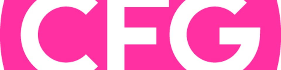 Charity Finance Group banner