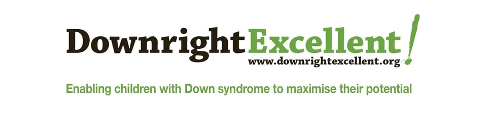 Downright Excellent banner