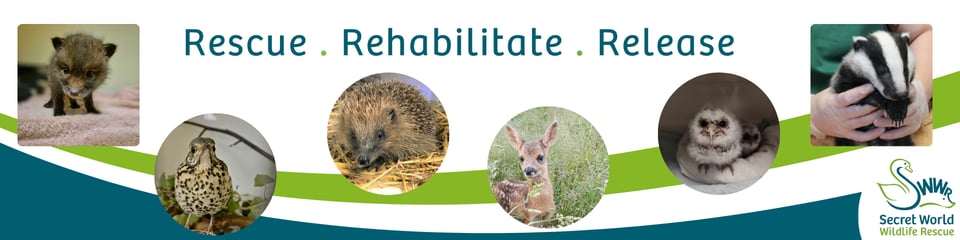 Secret World Wildlife Rescue banner