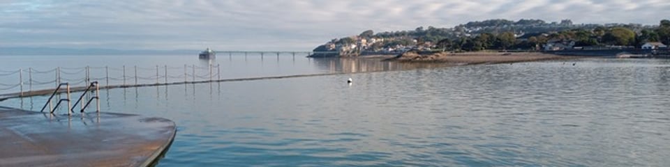 MARLENS (Marine Lake Enthusiasts) banner