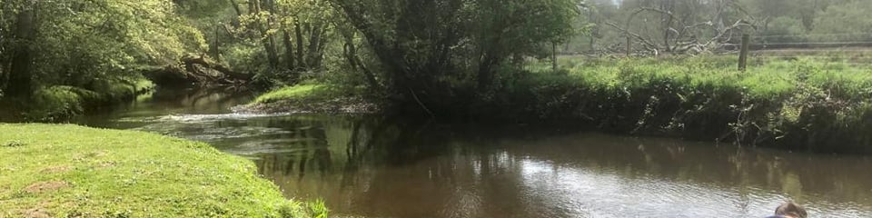 Freshwater Habitats Trust banner